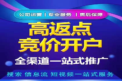 竞价端口开户全攻略，案例分析