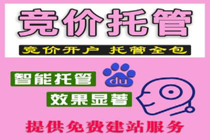 SEM广告投放策略优化：从失败到成功的转变